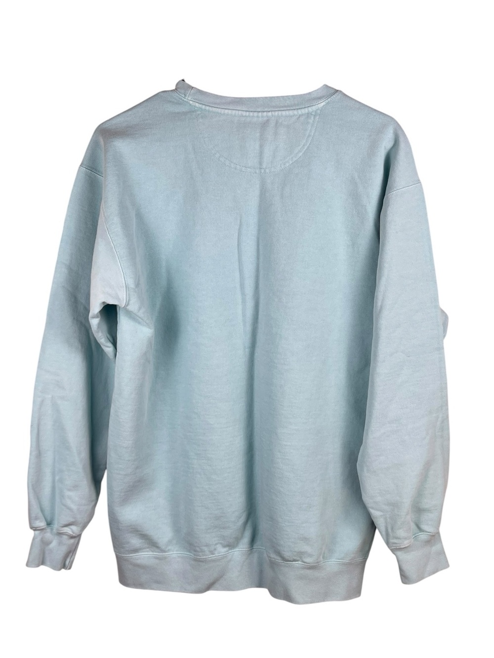 Comfort Colors The Salty Dog Cafe Chalky Mint Cotton Sweatshirt Medium - Picture 6 of 6